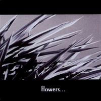 FLOWERS & BARRICADES (3inch-EP 2006) le petit machiniste