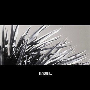 100blumen - Flower And Barricades EP