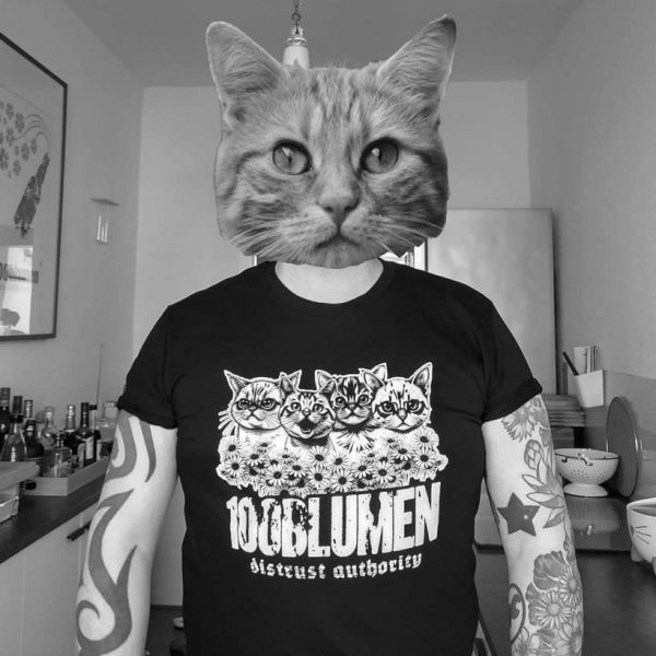 distrust meow2 Distrust Meow